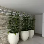 N & D Luxury Studio Bükreş